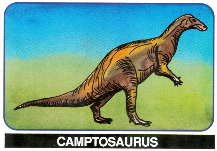 Camptosaurus Salerno card